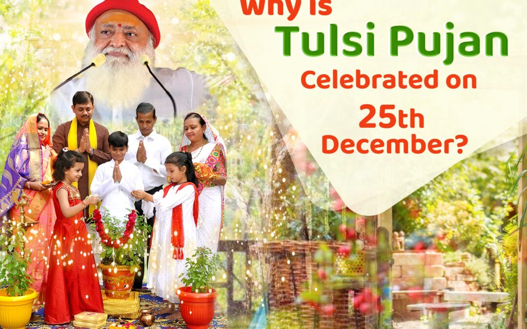 Why is Tulsi Pujan Celebrated on 25th December?