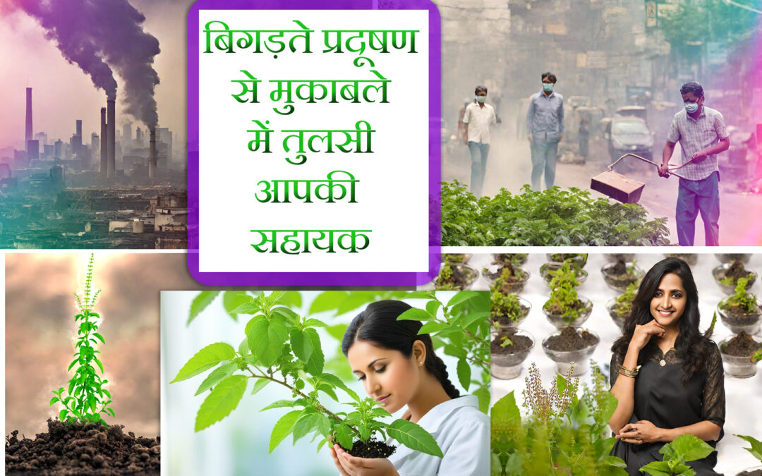 The Benefits of Tulsi Plantation in Reducing Environmental Pollution