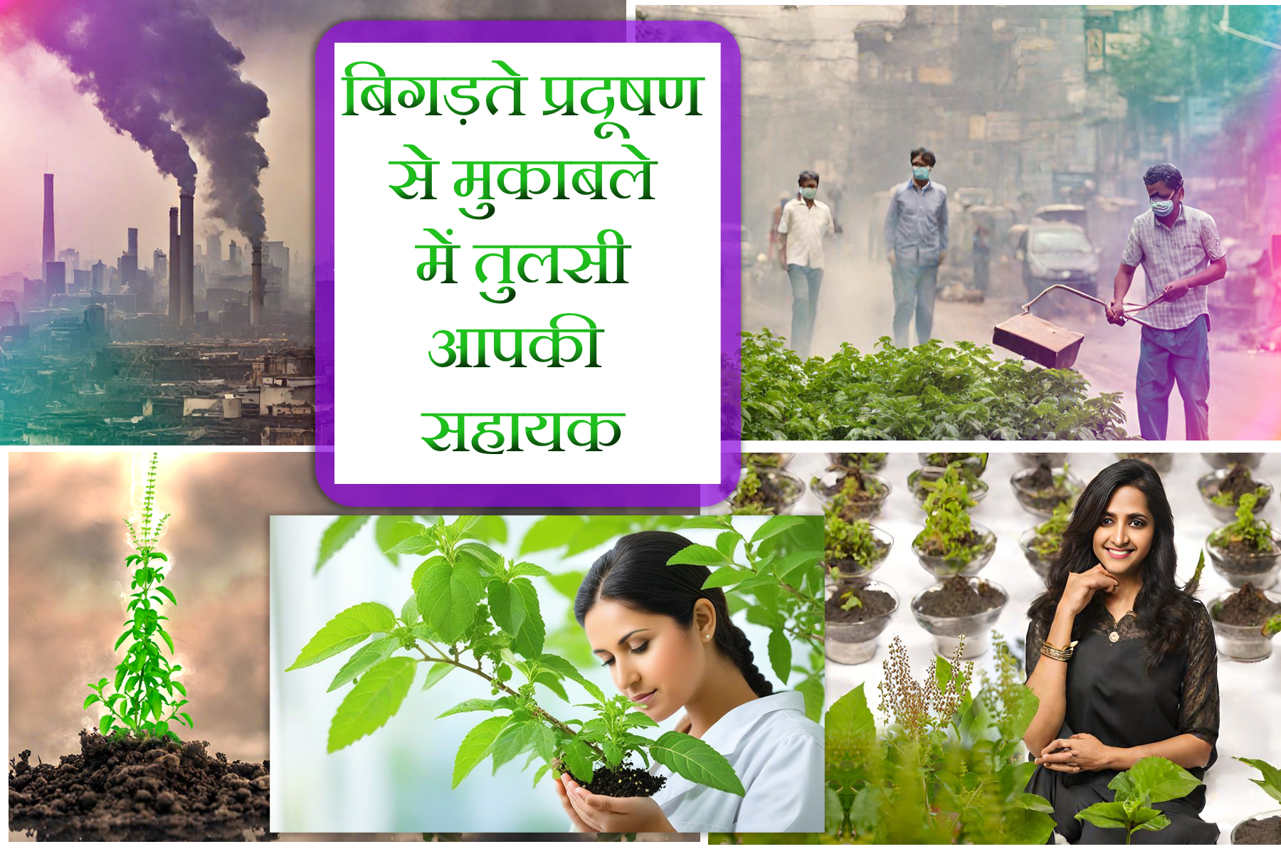 The Benefits of Tulsi Plantation in Reducing Environmental Pollution